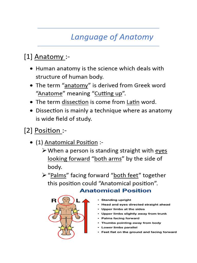 Language of Anatomy | PDF
