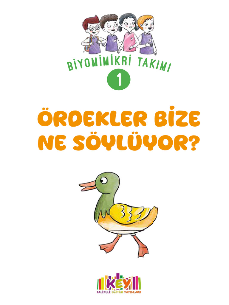 1 Ordekler Bize Ne Soyluyor | PDF