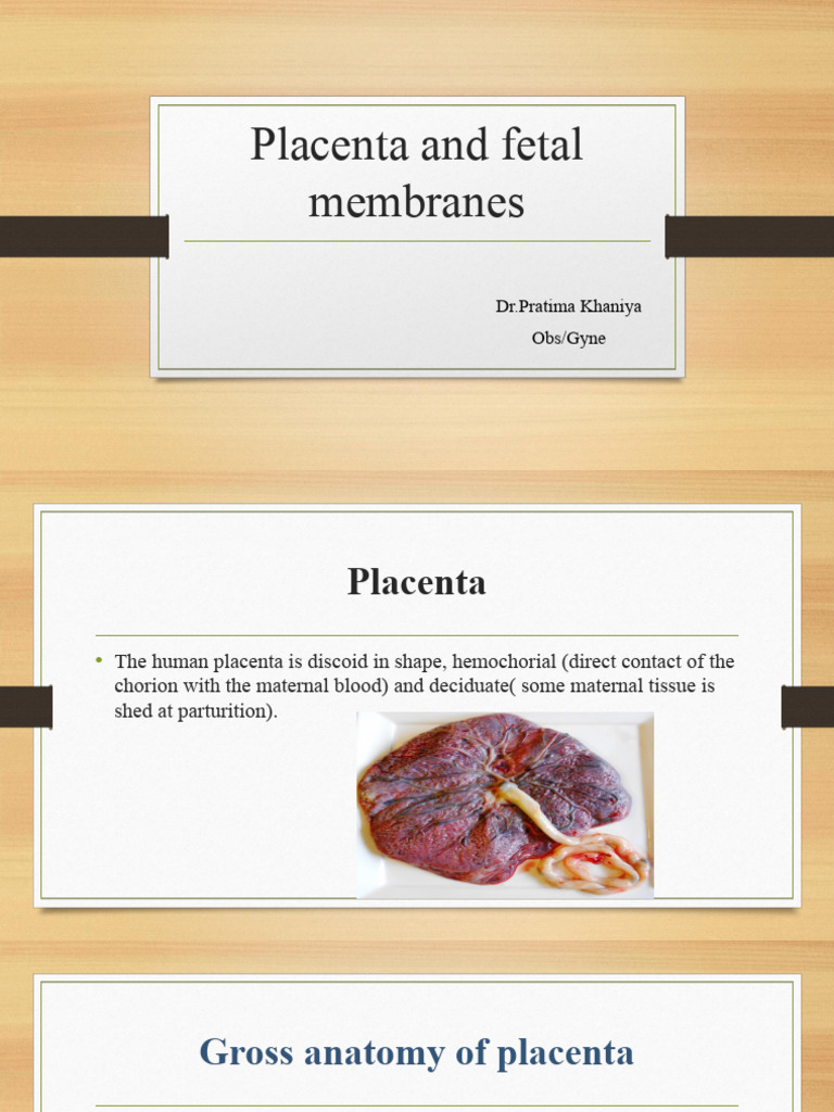 Placenta and Fetal Membranes | PDF | Placenta | Ventricle (Heart)