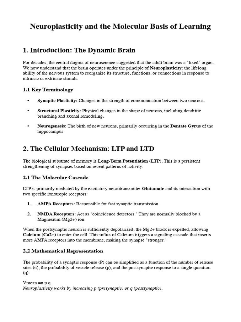 Neuroplasticity and The Molecular Basis of Learning | PDF | Synaptic ...