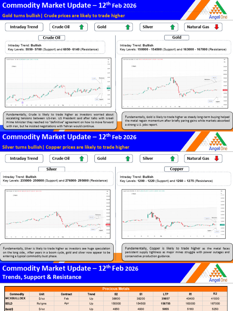 Commodity Morning Report 12th Feb 2026 | PDF | Commodity Markets ...