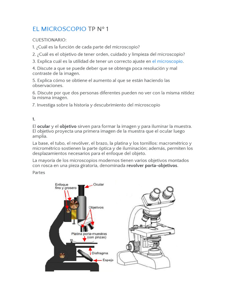 El Microscopio | PDF | Microscopio | Lente de la cámara