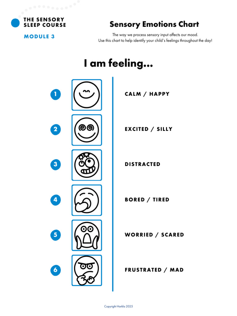 0IjvYPuBRUejq9ZscT0o - Mod 3 Sensory Emotions Chart | PDF