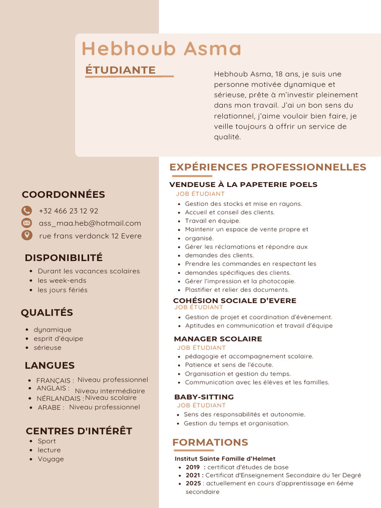 CV Professionnel Moderne Simple Beige Marron PDF | PDF
