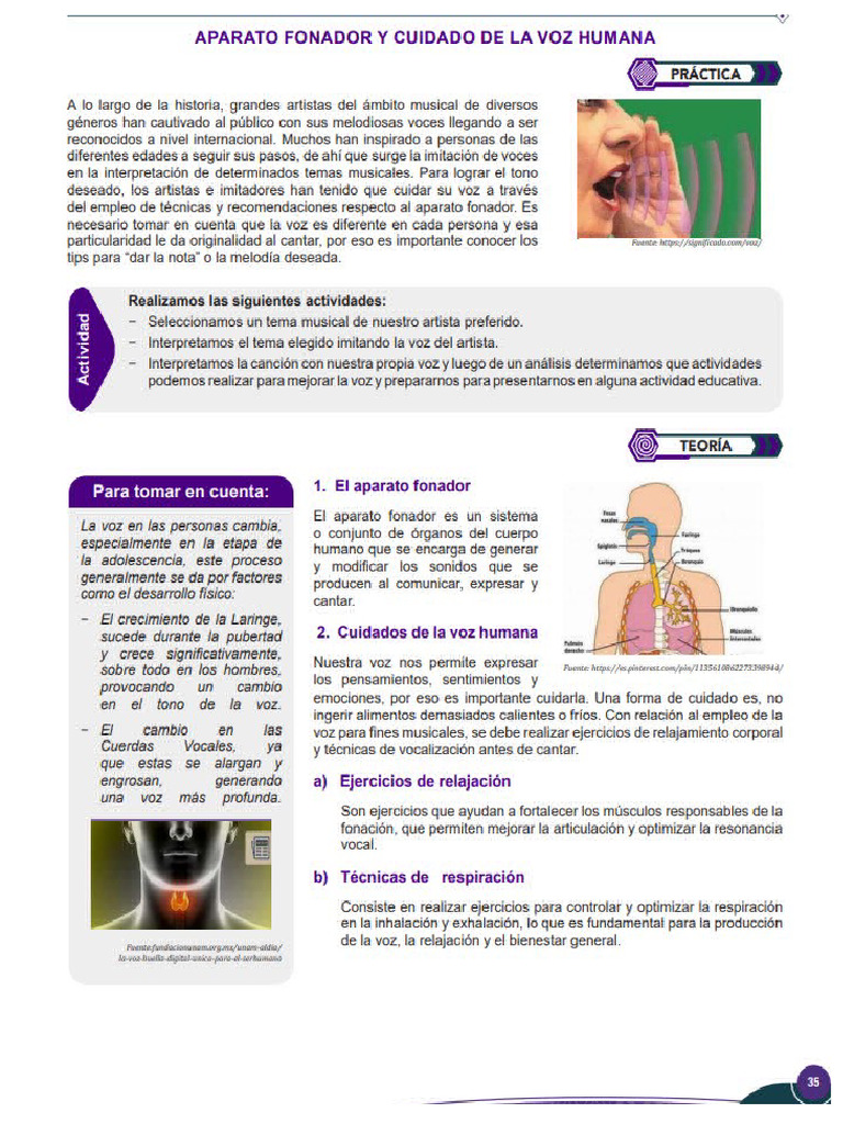 Aparato Fonador y Cuidado de La Voz Humana Exposiscion | PDF