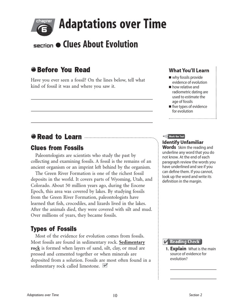 06 Adaptations Over Time Part 2 | PDF | Fossil | Rock (Geology)
