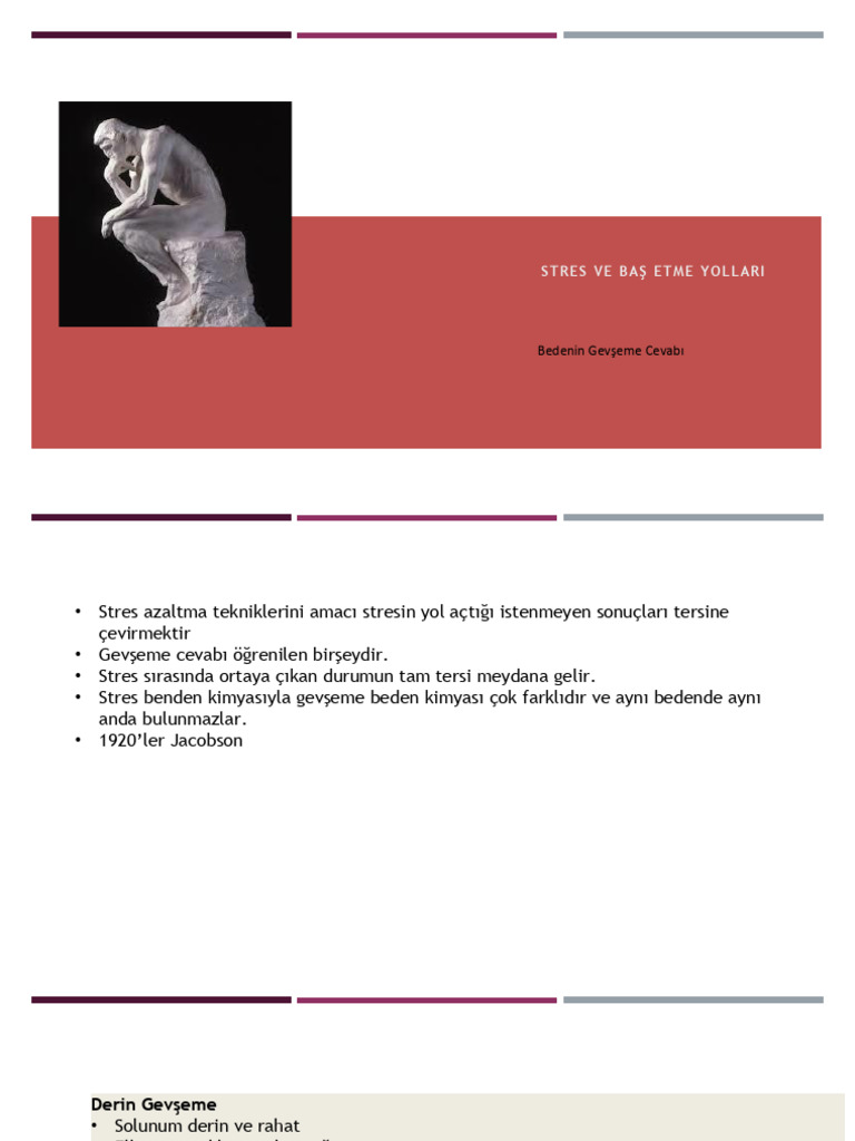 Rm95R2NaY2NuV2w0SGMrMzk1bHQydw11 Stresle Bas Etme Gevseme-1 | PDF