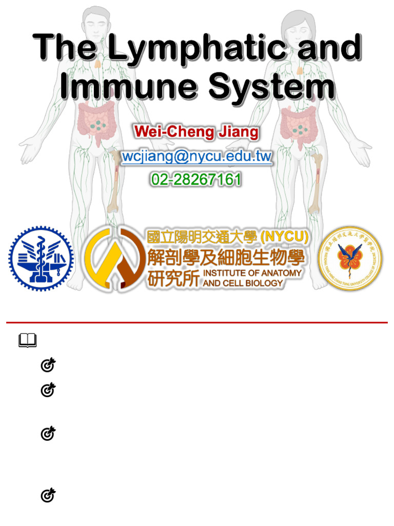 The Lymphatic and Immune System (2025.11.27) | PDF | Lymphatic System ...