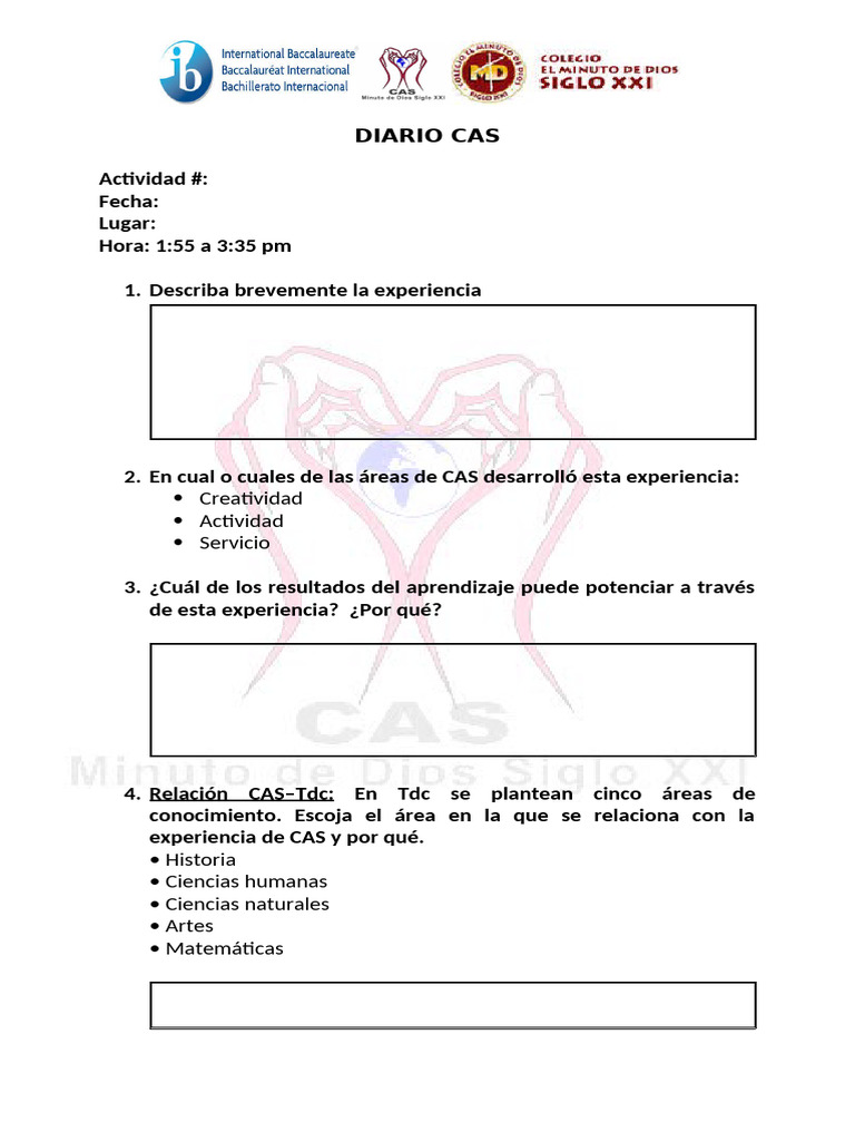 Formato Diario Cas-2026 | PDF