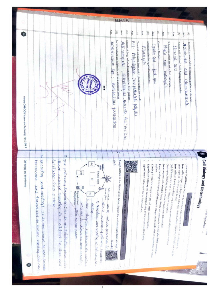 Science II Chapter 8 9 10 | PDF