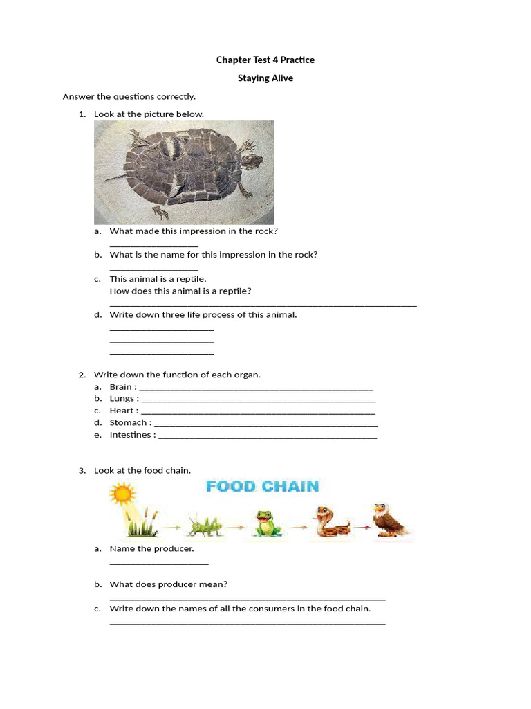 Practice Chapter Test 4 | PDF