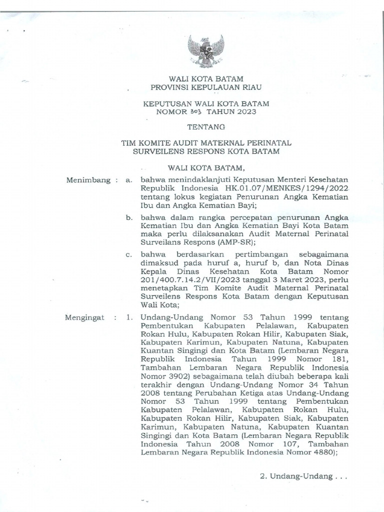 SK Tim Komite Audit Maternal Perinatal | PDF