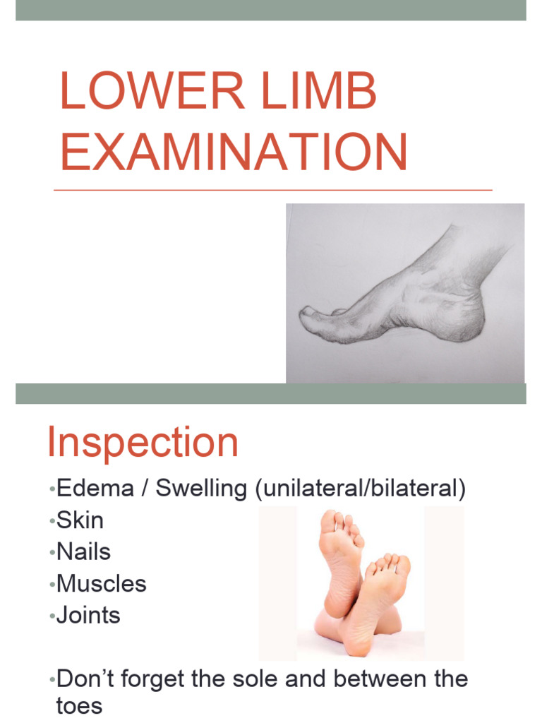 L5.1) Lower Limb Examination - PDF 2 | PDF