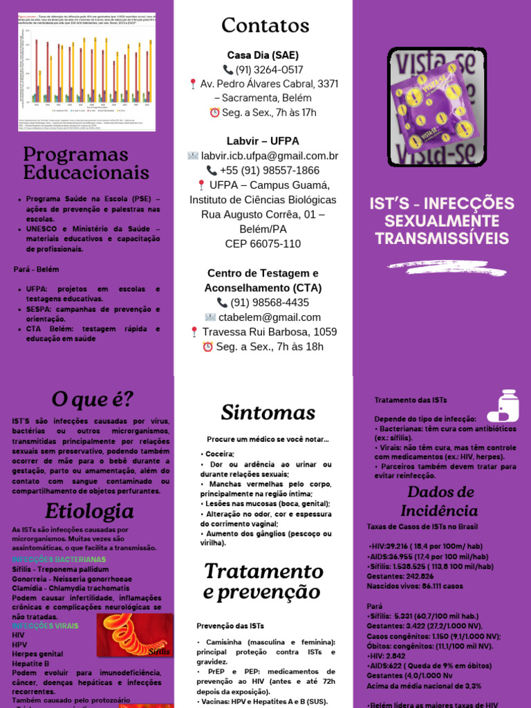 Folder Informativo Educativo Com Estilo de Ilustração Minimalista em ...