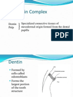 (RestoDent) Dentin-Pulp Complex