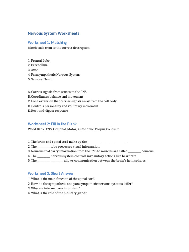 Nervous System Worksheets | PDF