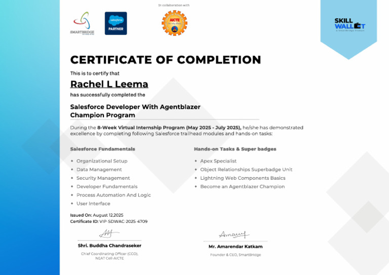Salesforce Developer | PDF