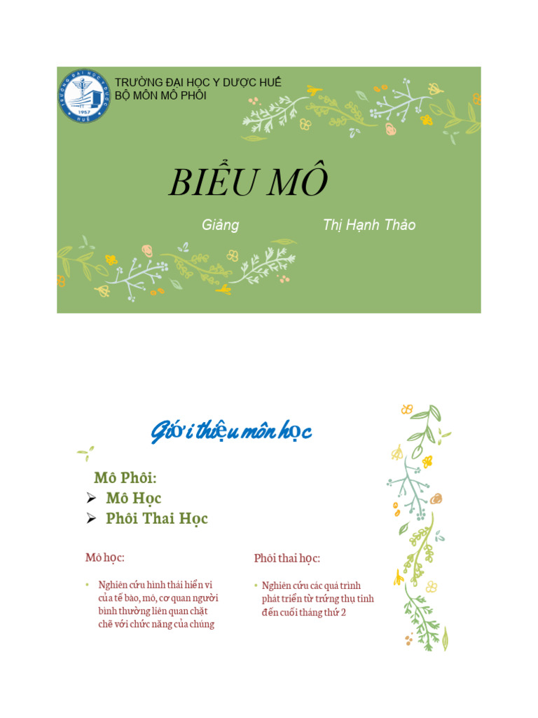 1. BIỂU MÔ | PDF