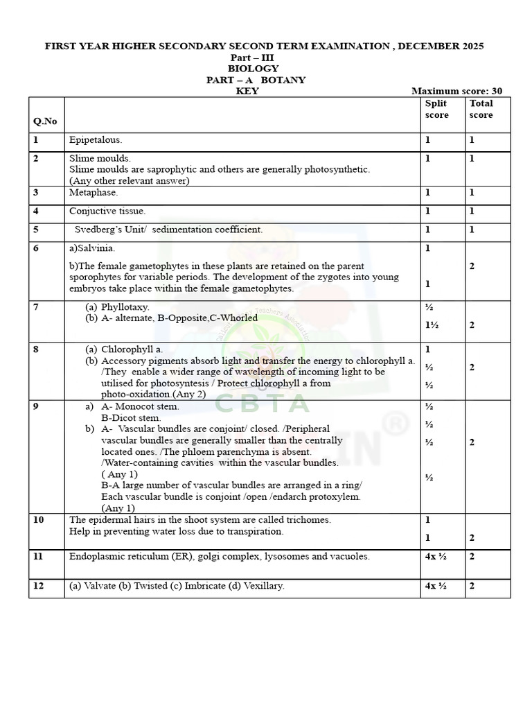 Hsslive Xi Botany Key Cbta Dec 2025 | PDF | Cell (Biology) | Plant Stem