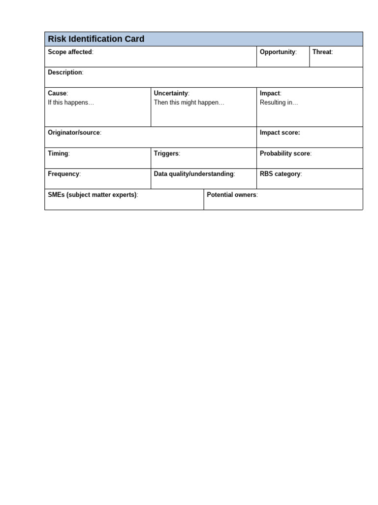 Risk Identification Card | PDF