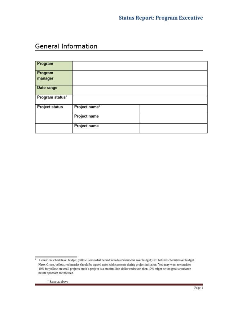 Status Report - Program Executive | PDF