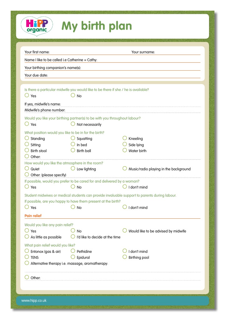 HiPP Birth Plan | PDF | Lifestyle