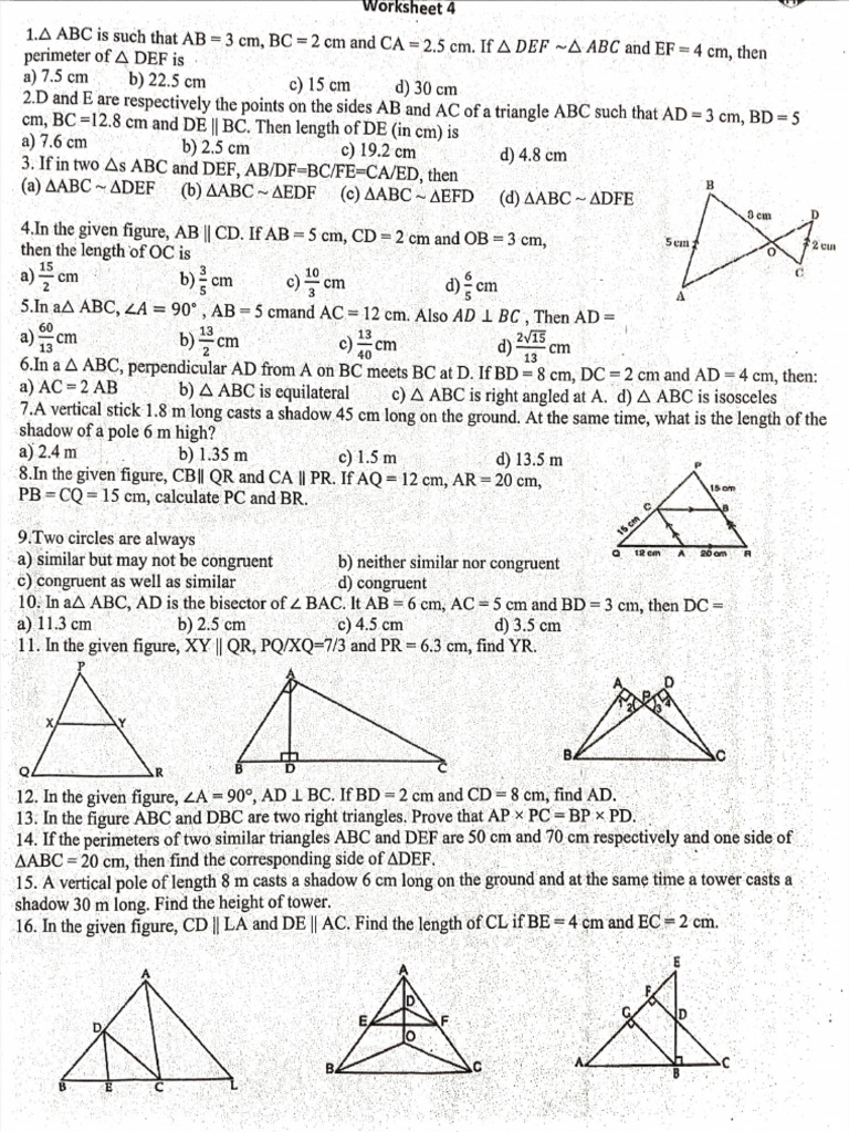 Triangles Most Important Questions | PDF