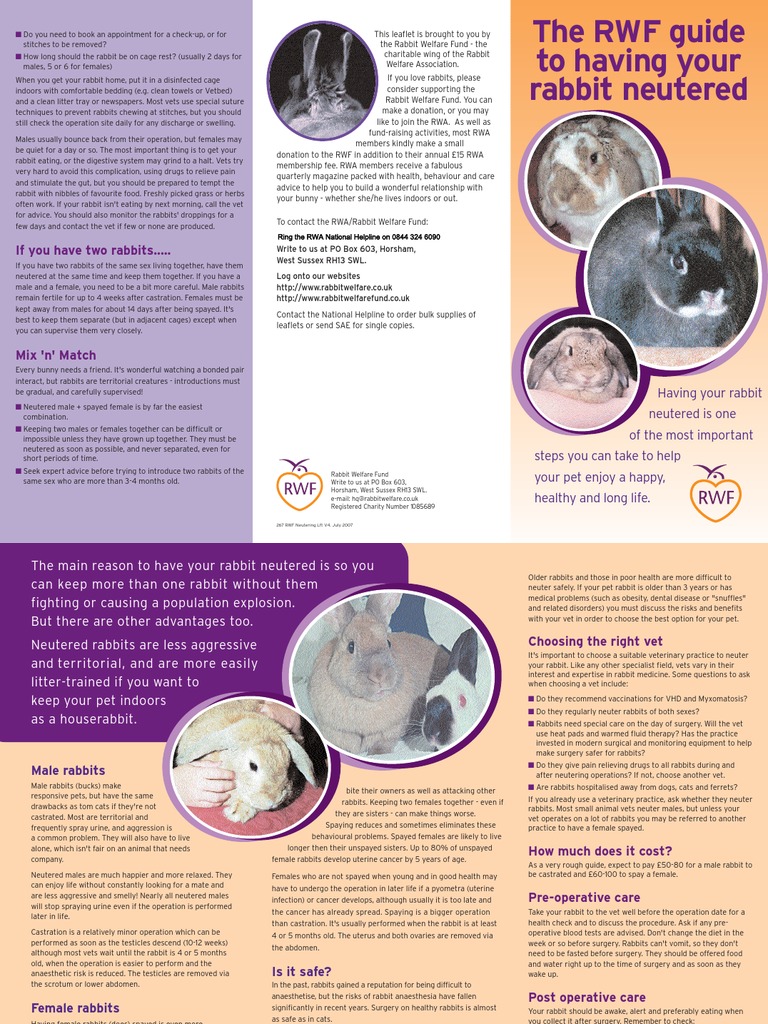 The RWAF guide to neutering your rabbit Neutering Health Care