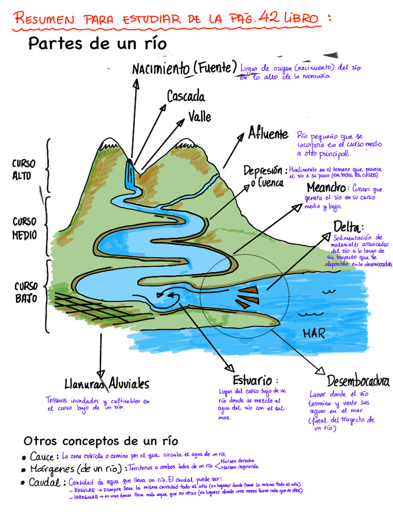 Dibujo Partes y Cursos Del Río | PDF