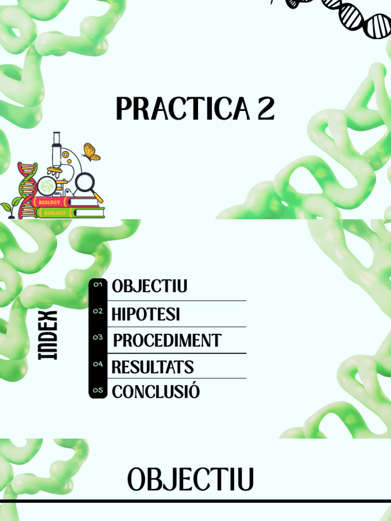Pràctica 2 | PDF