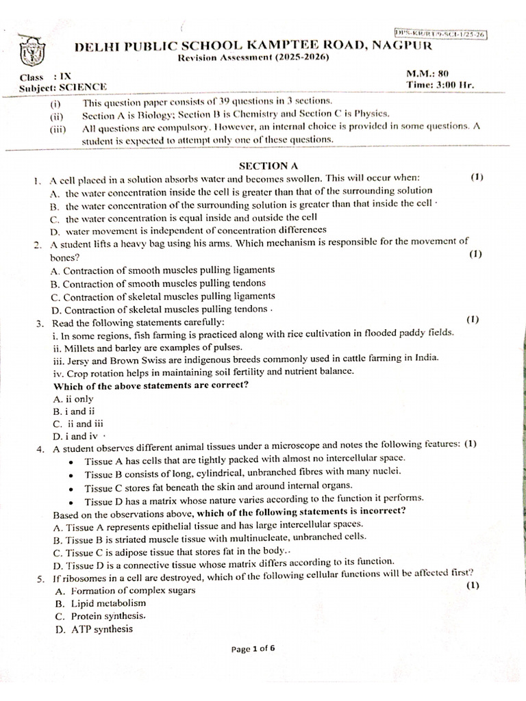 Science RT DPS | PDF