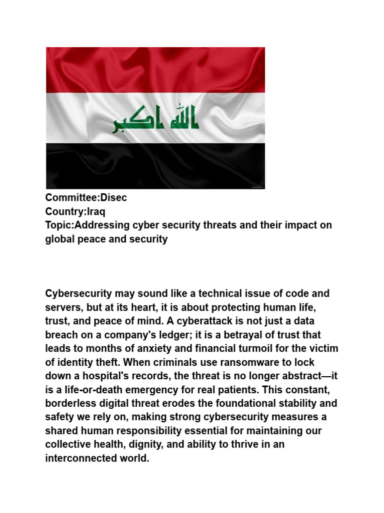 Position Paper Iraq Disec | PDF | Computer Security | Security