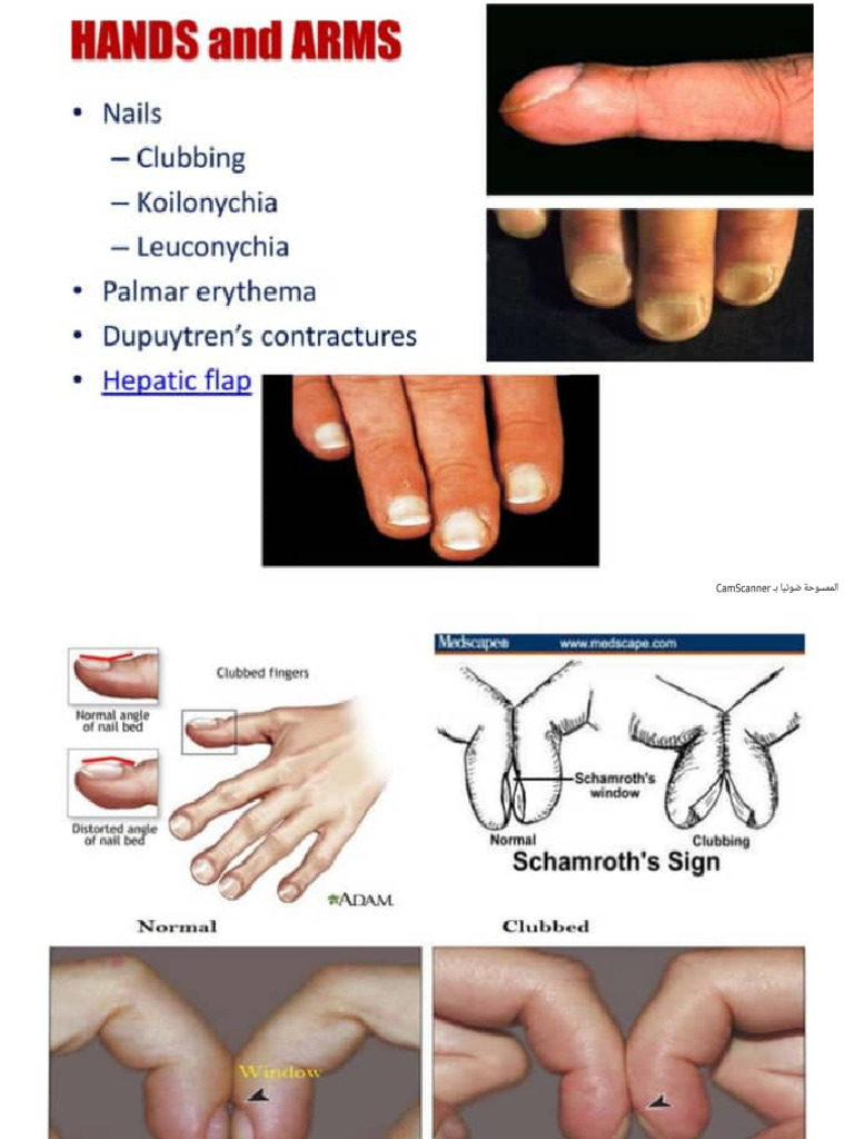 General Physical Examination-1 | PDF