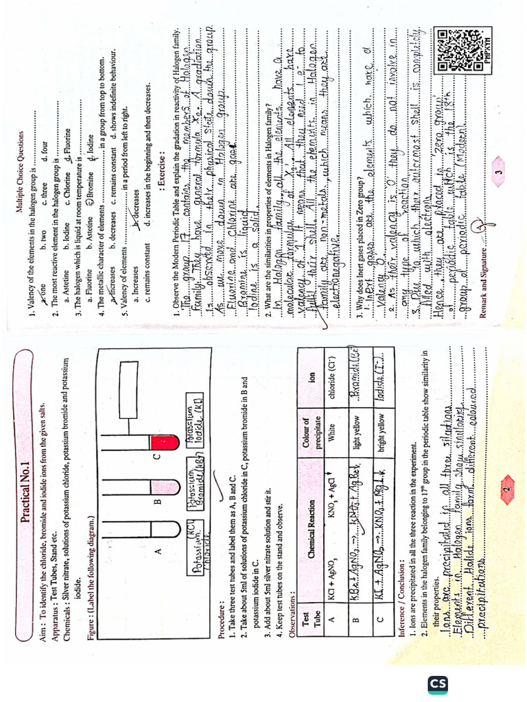 CLASS 10th PRACTICAL BOOK (COMPLETE) | PDF