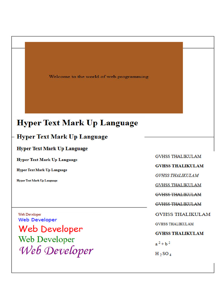 03 First Year Output Print For Htmlpracticals | PDF