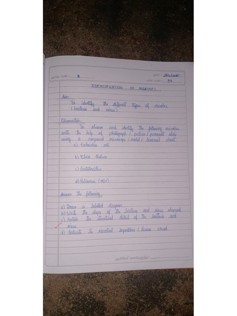 Science 9th STD Observation | PDF