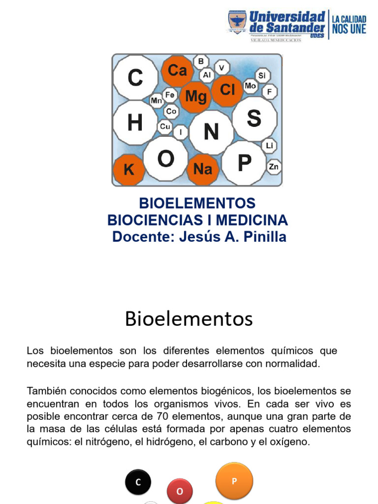Tema 1. Bioelementos | PDF | Redox | Organismos