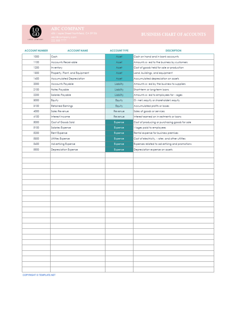 Business Chart of Accounts Template Business Chart of Accounts | PDF
