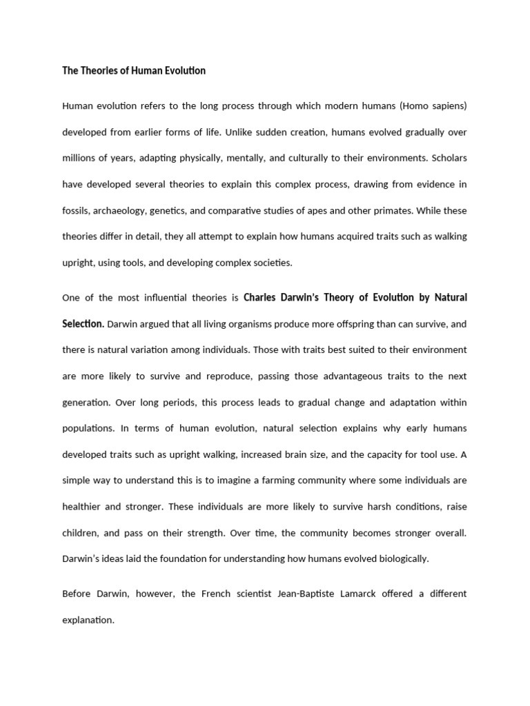 The Theories of Human Evolution | PDF | Homo | Human Evolution