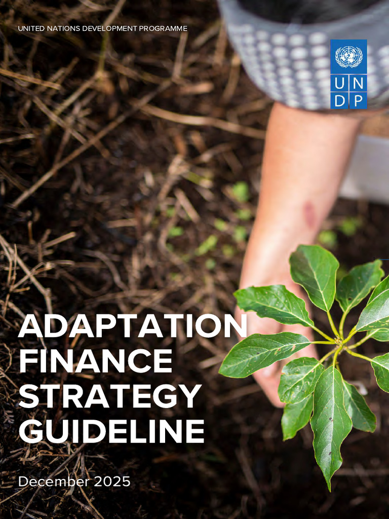 Adaptation Finance Strategy Guideline Full Report-Compressed | PDF