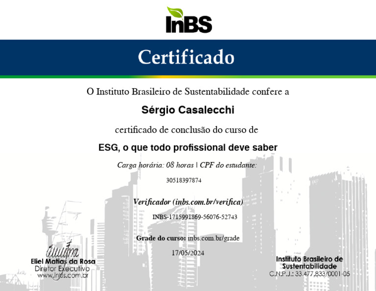ESG o Que Todo Profissional Deve Saber InBS | PDF