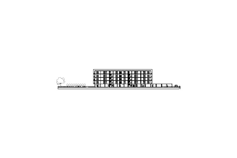 Longitudinal Section | PDF