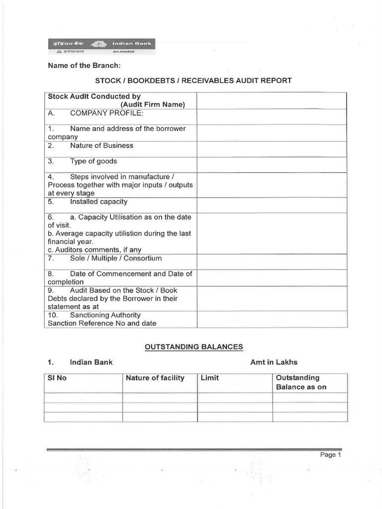 Stock Audit Manual Format | PDF