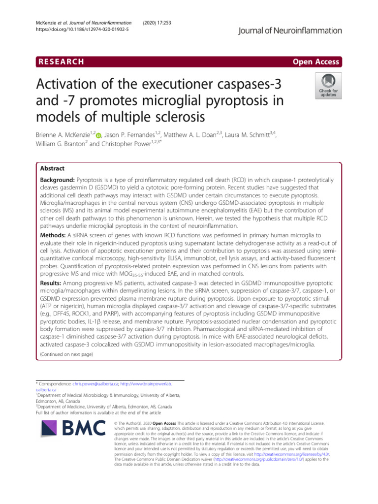2020 Activation of The Executioner Caspases-3 and - 7 Promotes ...