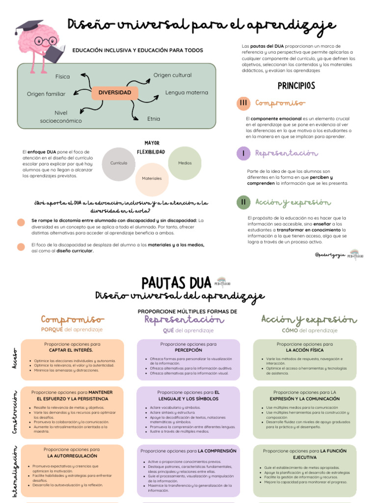 PAUTAS DUA (Diseño Universal para El Aprendizaje) | PDF | Plan de ...