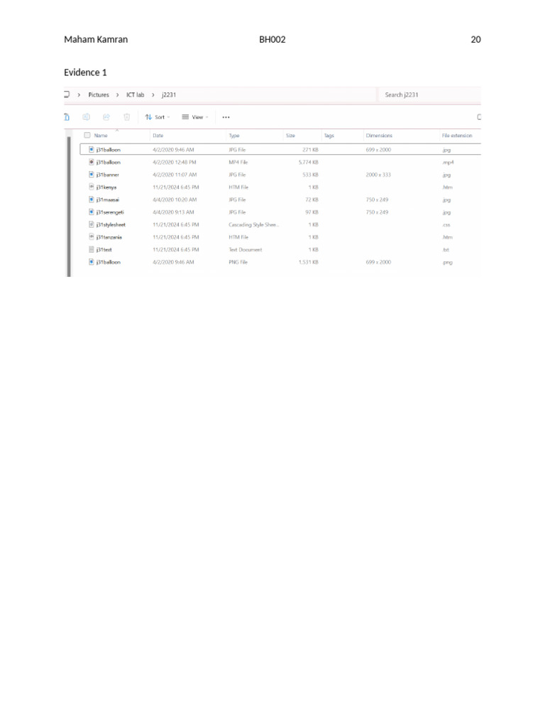 j2231evidence_BH002 | PDF