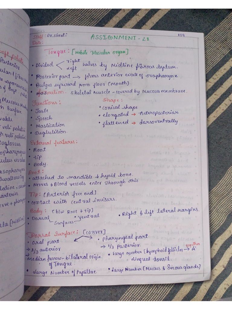 Harsha Sir Assignment | PDF