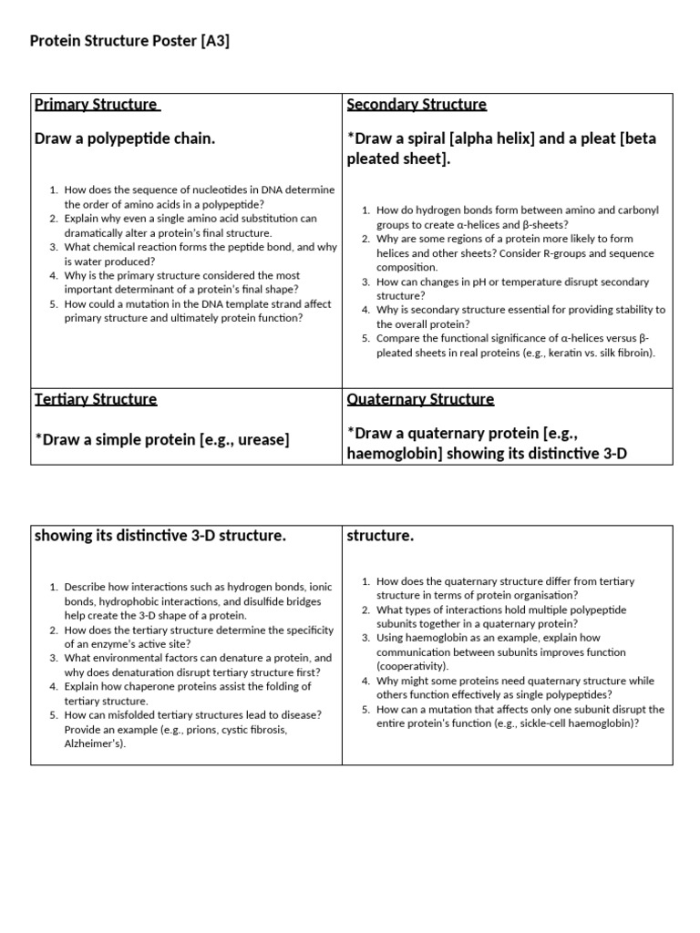 3) Protein Structure Poster | PDF | Protein Structure | Proteins