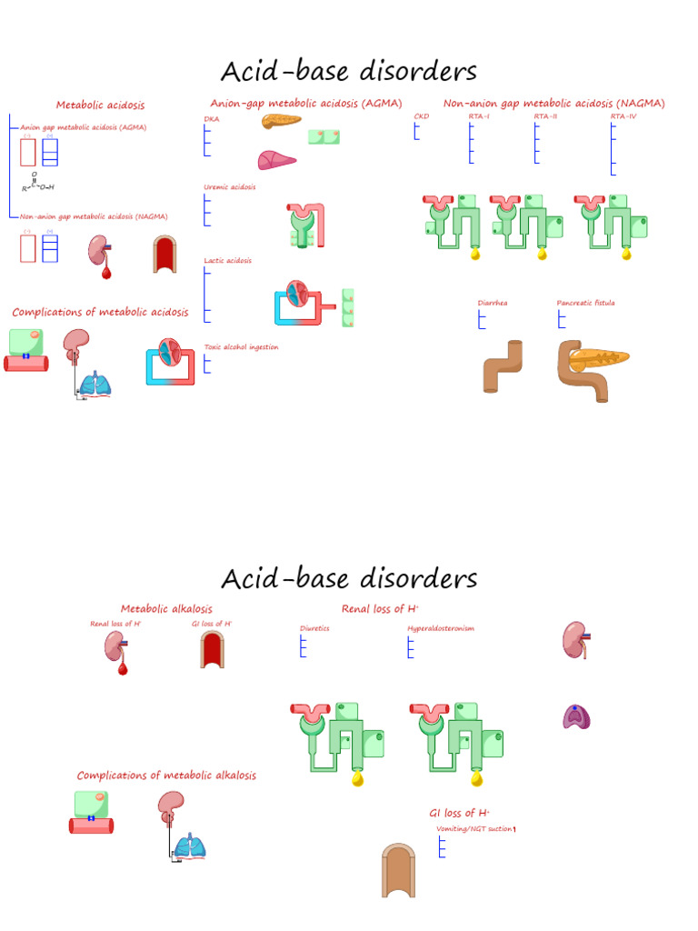 RENAL-01 Acid Base Disorders (Illustrations - Template) | PDF