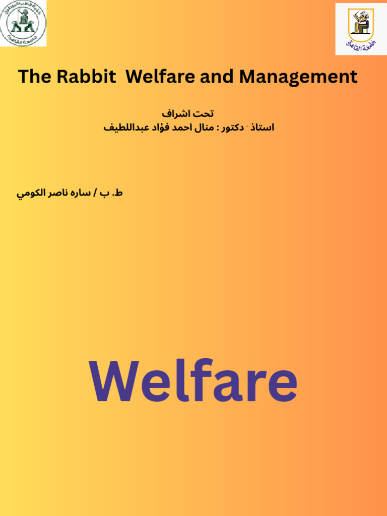 Welfare Rabbit | PDF